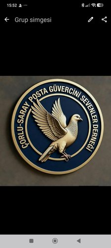 ÇORLU SARAY POSTA GÜVERCİNİ SEVENLER DERNEĞİ