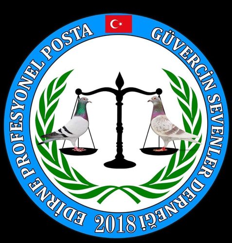 EDİRNE PROFESYONEL POSTA