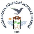MUĞLA POSTA Logosu