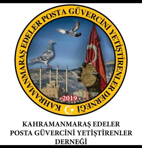46 EDELER TÜRKOĞLU POSTA YETİŞTİRİCİ DERNEĞİ