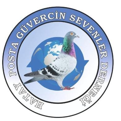 KUMLU POSTA GÜVERCİNLERİ SEVENLER DERNEĞİ