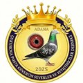 ÇUKUROVA POSTA Logosu