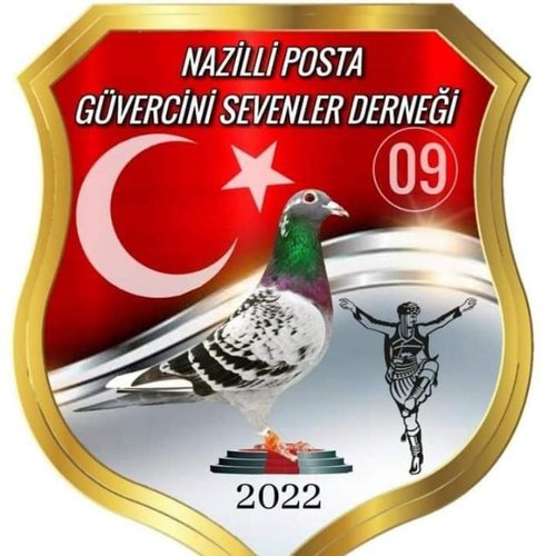 NAZİLLİ GÜVERCİN SEVENLER VE YETİŞTİRENLER DERNEĞİ