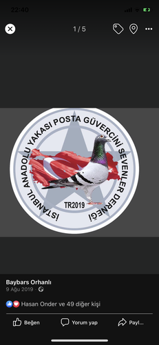 İSTANBUL ANADOLU YAKASI POSTA