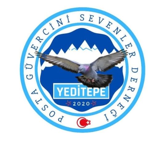 YEDİTEPE POSTA