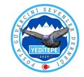 YEDİTEPE POSTA Logosu
