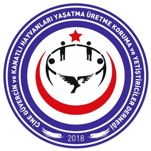 ÇİNE POSTA